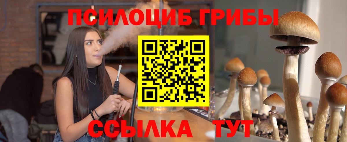 Галлюциногенные грибы GOLDEN TEACHER  Вход с VPN  Шарыпово 